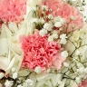 Букет «Каролина» — гвоздики, гортензия и гипсофила 