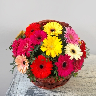 Поэзия цвета 