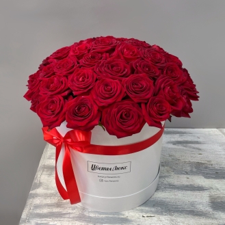 51 красная роза в коробке