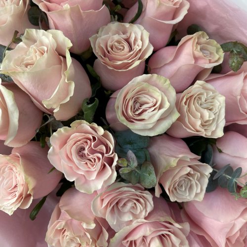 Нежность - 19 пудровых роз