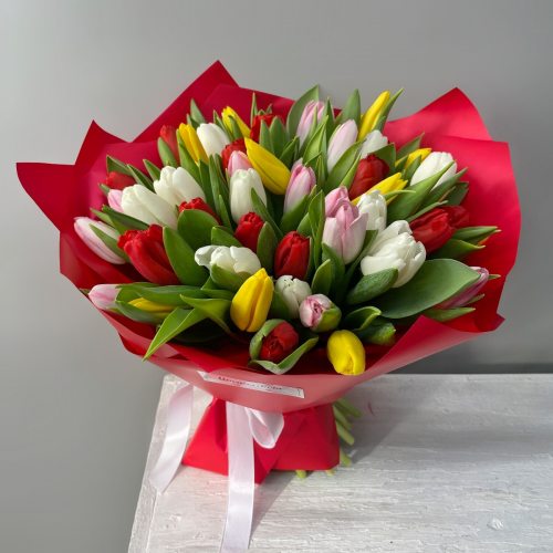 Радуга - 51 разноцветный тюльпан