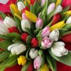 Радуга - 51 разноцветный тюльпан