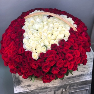 Головокружительный поцелуй -  301  роза