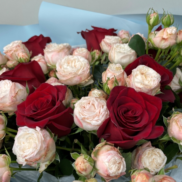 Красный прекрасный 