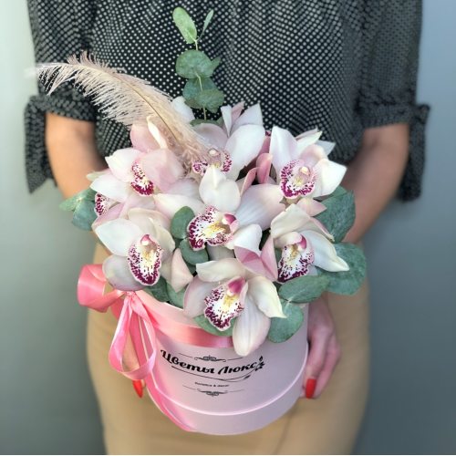 Мулен руж, орхидеи