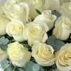 Белые Розы Люкс