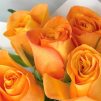 Монобукет из 7 оранжевых роз