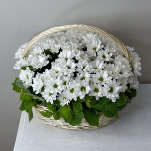 Корзина ромашек