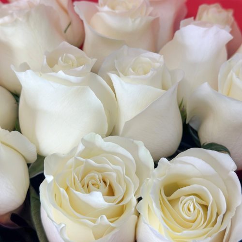 Очаровательный белый -  15 белых роз