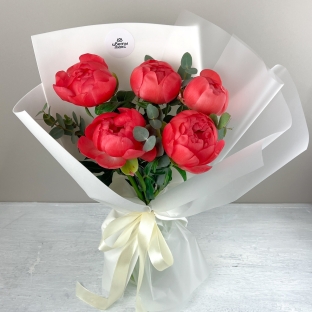 Коралловый рассвет