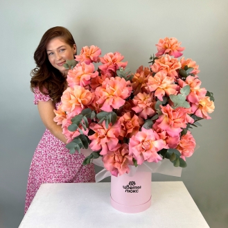 Брызги шампанского