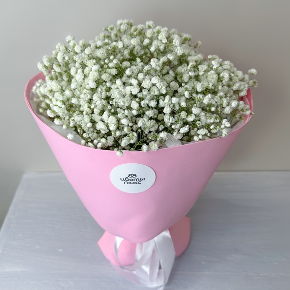 Нежная гипсофила