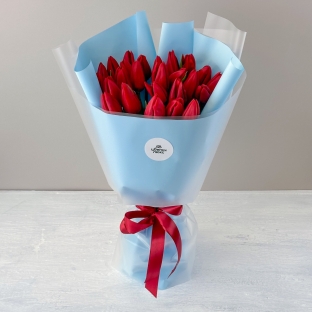 Мартовское утро - 25 красных тюльпанов