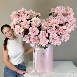 Мечта принцессы