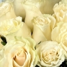 Букет "Нежное признание" из 21 белой розы