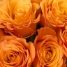 Букет "Оранжевое солнце" из 11 оранжевых роз