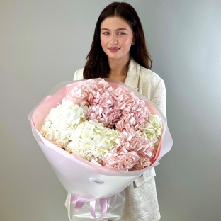 Розовые гортензии