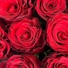 15 красных кенийских роз