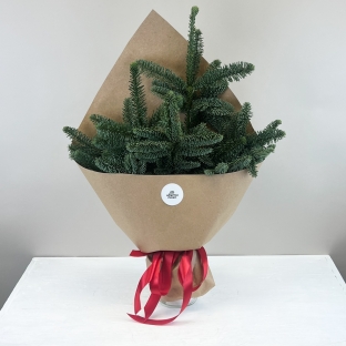 Охапка Нобилиса