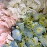 Букет "Шелковый путь" из 5 гортензий