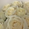 Нежное признание -  19 белых роз
