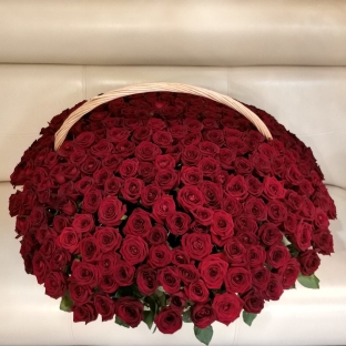 Букет из 301 красной розы в корзине