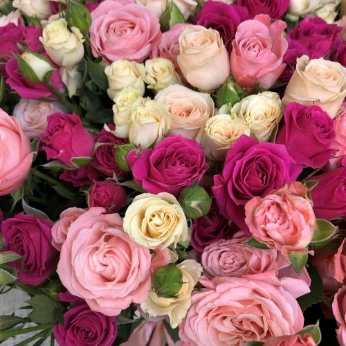 Нуга и карамель - 85 кустовых роз