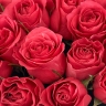 Букет "Малинки" из 11 малиновых роз