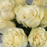 Охапка белых роз