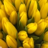 Искорка -  51 желтый тюльпан