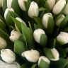 Летний дождь -  51 белый тюльпан