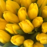Натали - 25 желтых тюльпанов 