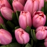 Розовое настроение  - 21 розовый тюльпан