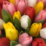 Микс из 35 тюльпанов
