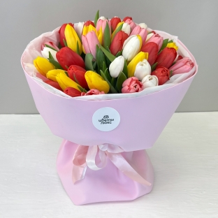 Радуга - 51 разноцветный тюльпан