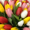 Букет "Радуга" из 51 тюльпана