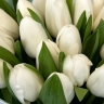 Букет Леди в белом - 15 белых тюльпанов