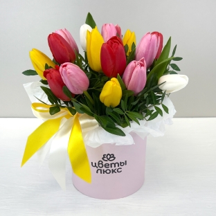 Голландия - тюльпаны в коробке