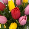 Голандия - тюльпаны в коробке