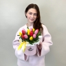 Голандия - тюльпаны в коробке